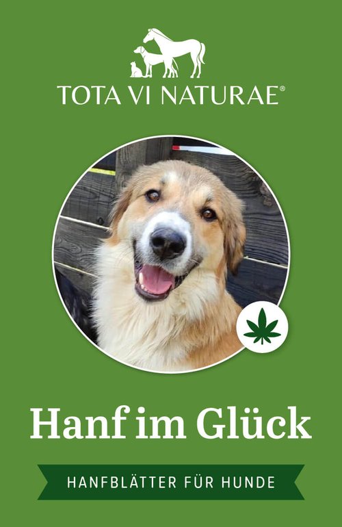 Hanf im Glück